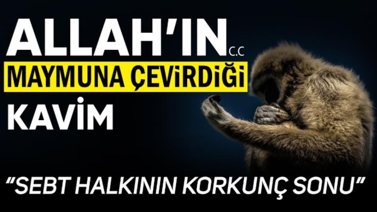 Otomatik Taslak