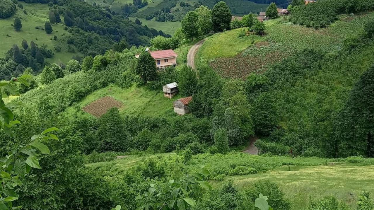 TARIMDA İKLİM SINIRLAYICI FAKTÖRDÜR