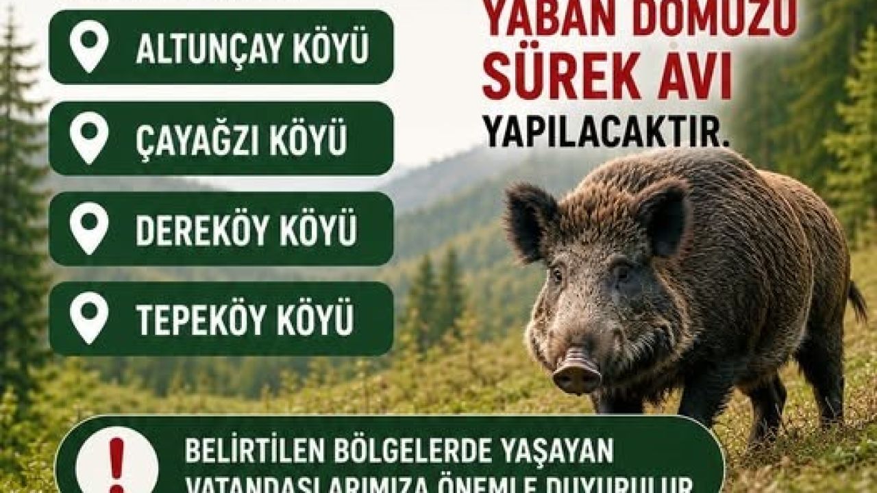 Akçakoca’da domuz avı yapılacak