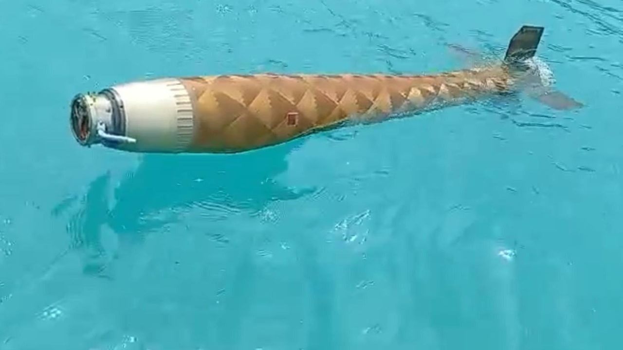 Ayancık açıklarında şüpheli cisim bulundu