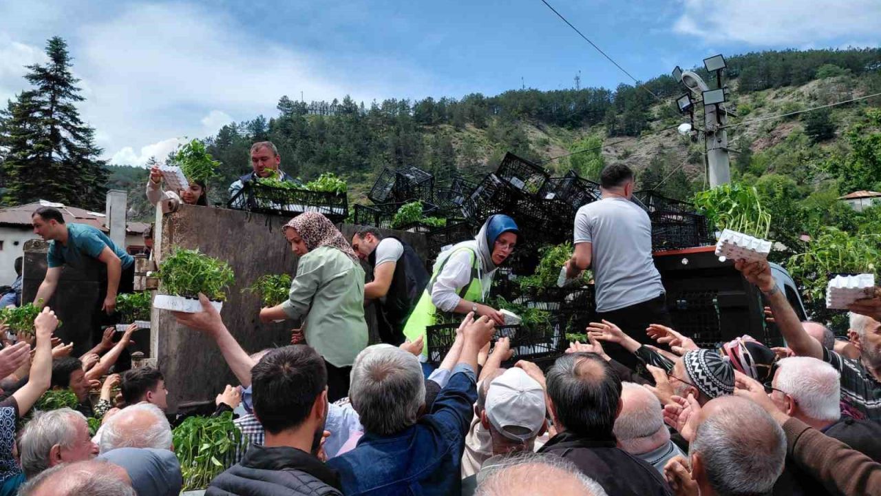 Bolu’da ücretsiz fide dağıtımına yoğun katılım