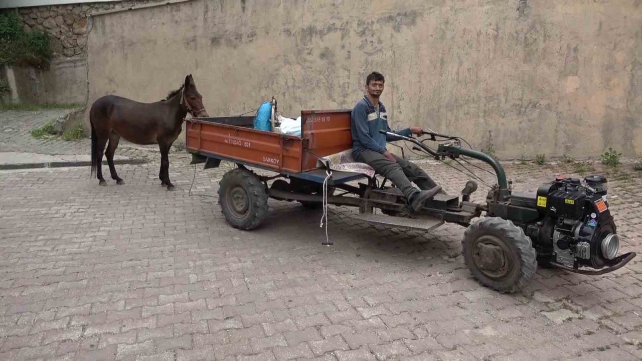 Çok sevdiği katırını peşinden hiç ayırmıyor