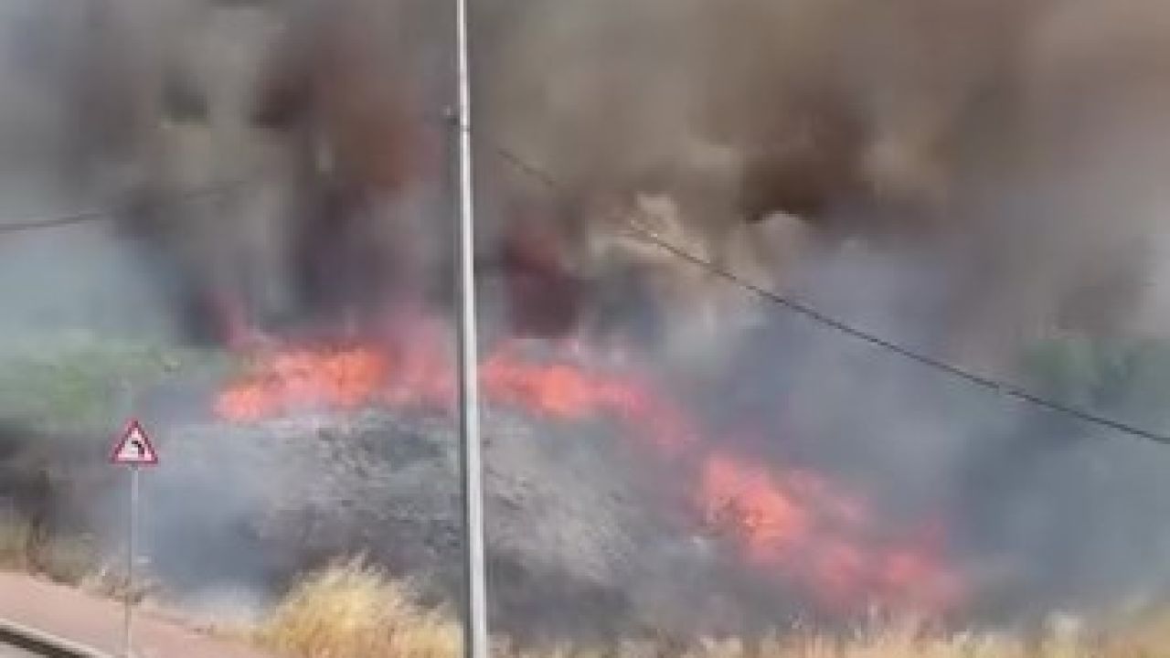 Darıca’da arazide korkutan yangın
