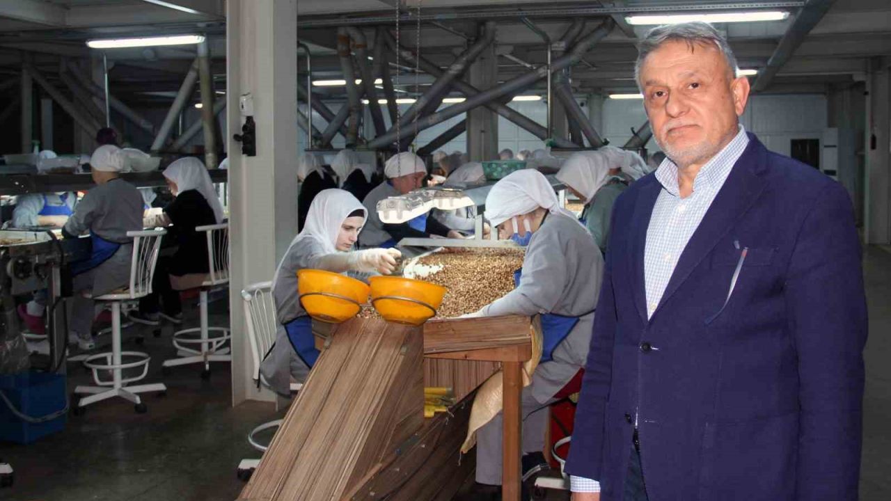 Fındık fiyatlarındaki düşüş sürüyor: Gözler yeni sezonda