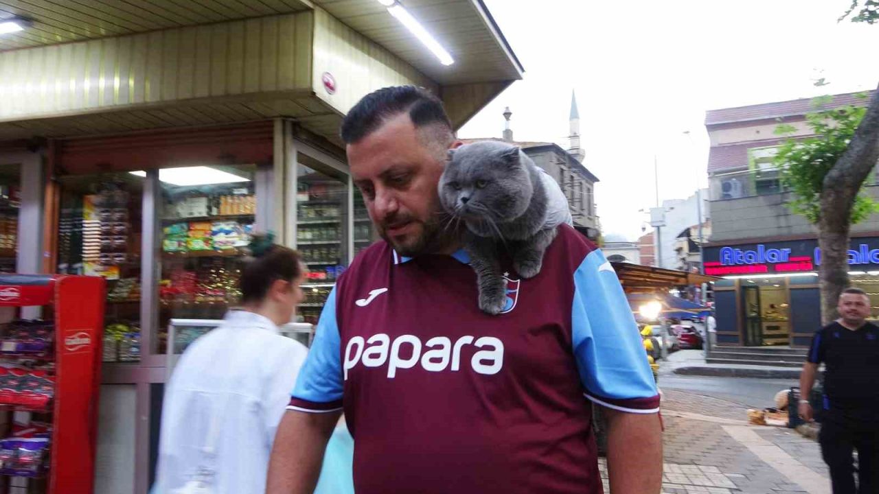 Kayıp kedi ’Tom’ 4 gün sonra bulundu