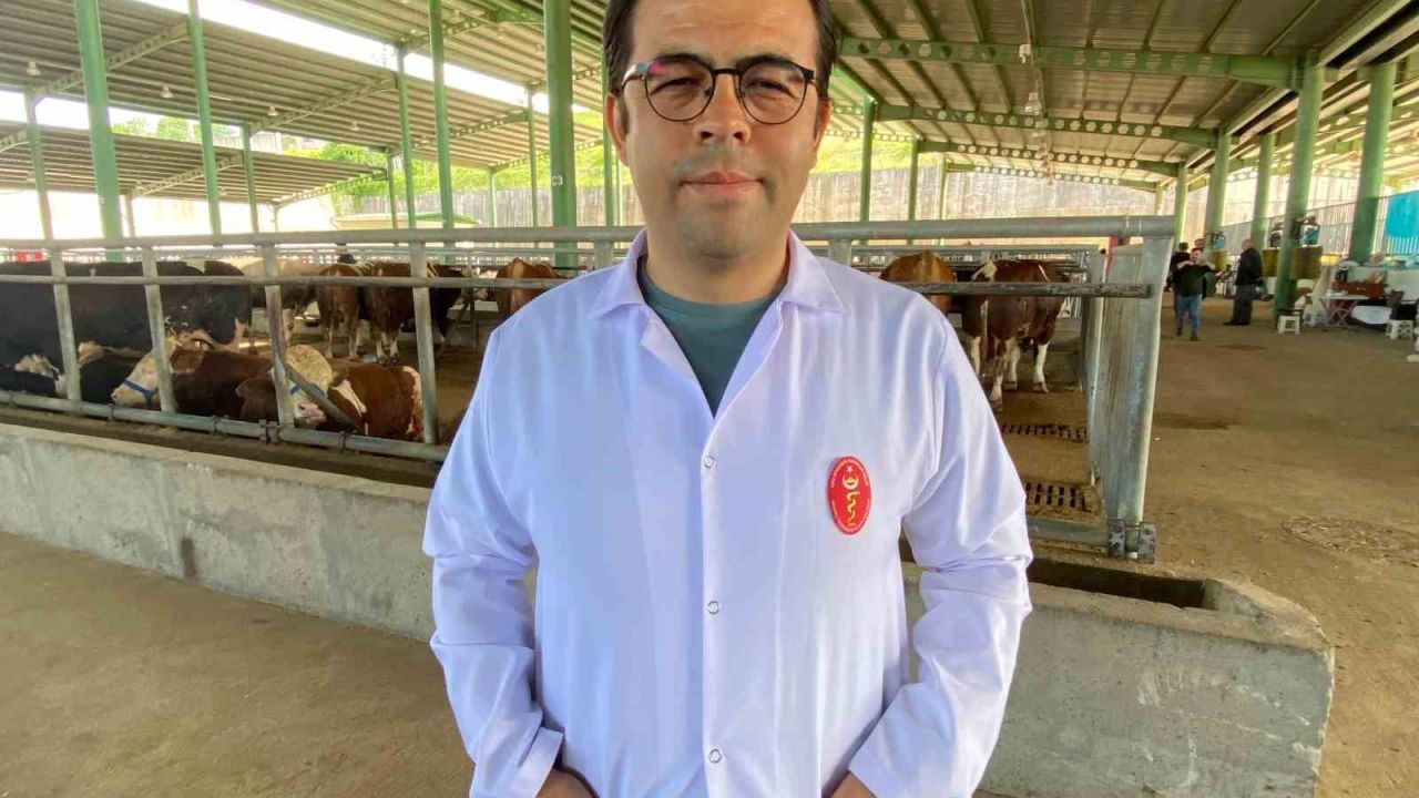Kene tehdidine dikkat: 200’den fazla hastalık etkeni taşıyabiliyor