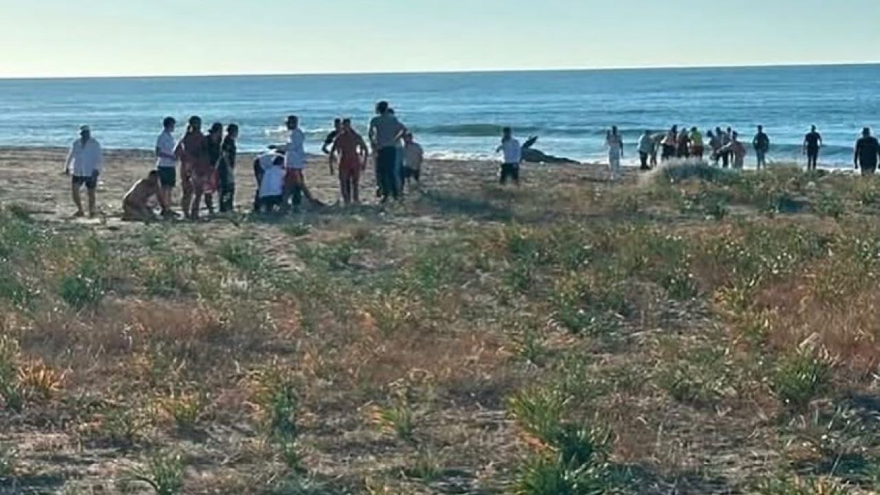 Kocaali sahilinde baba ve kızı boğulma tehlikesi geçirdi