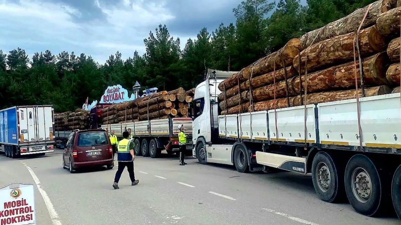 Sinop’ta orman emvali nakilleri denetimi