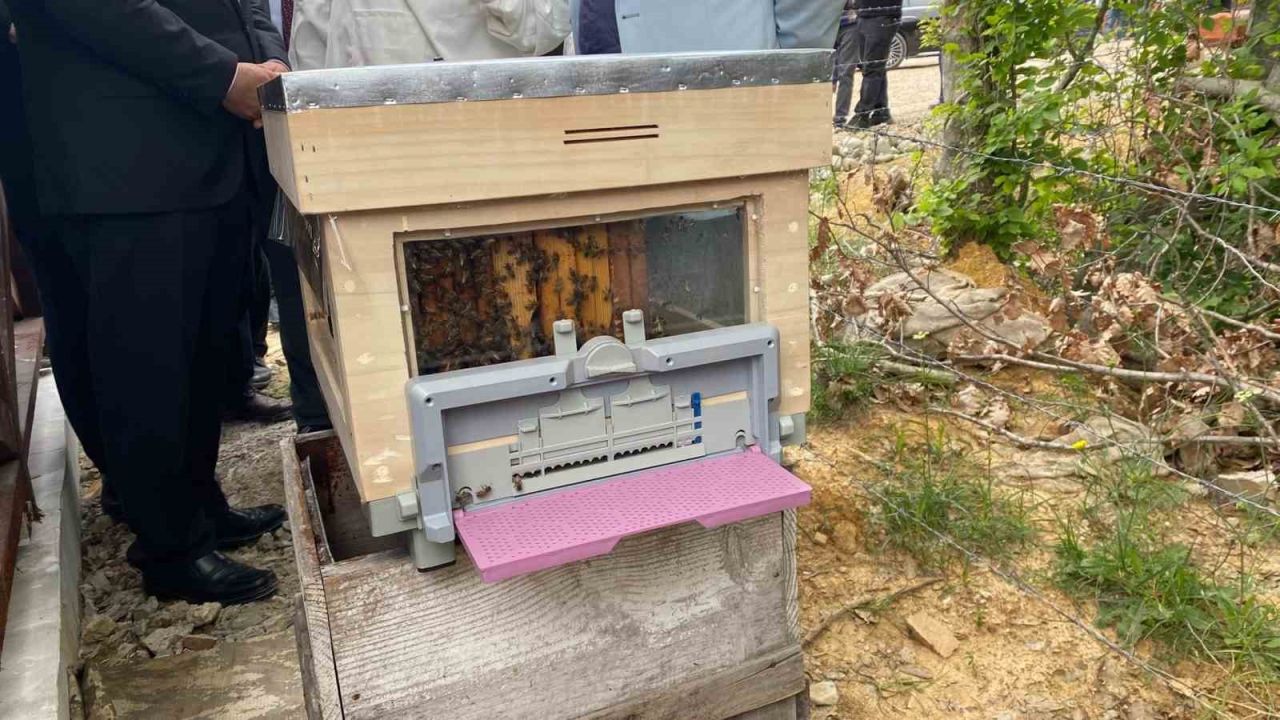 Sinop’ta Türkiye’nin 913’üncü bal ormanı hizmete açıldı