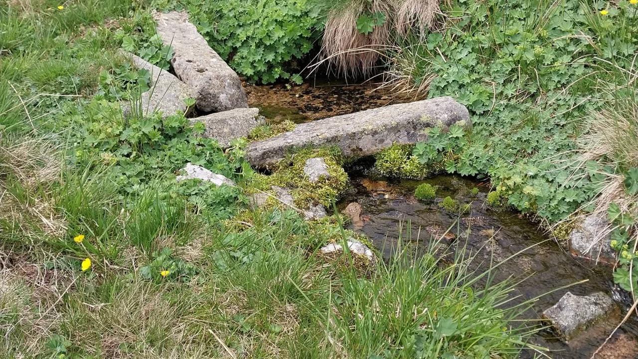 SUYUNA, TOPRAĞINA, VATANINA sahip çık