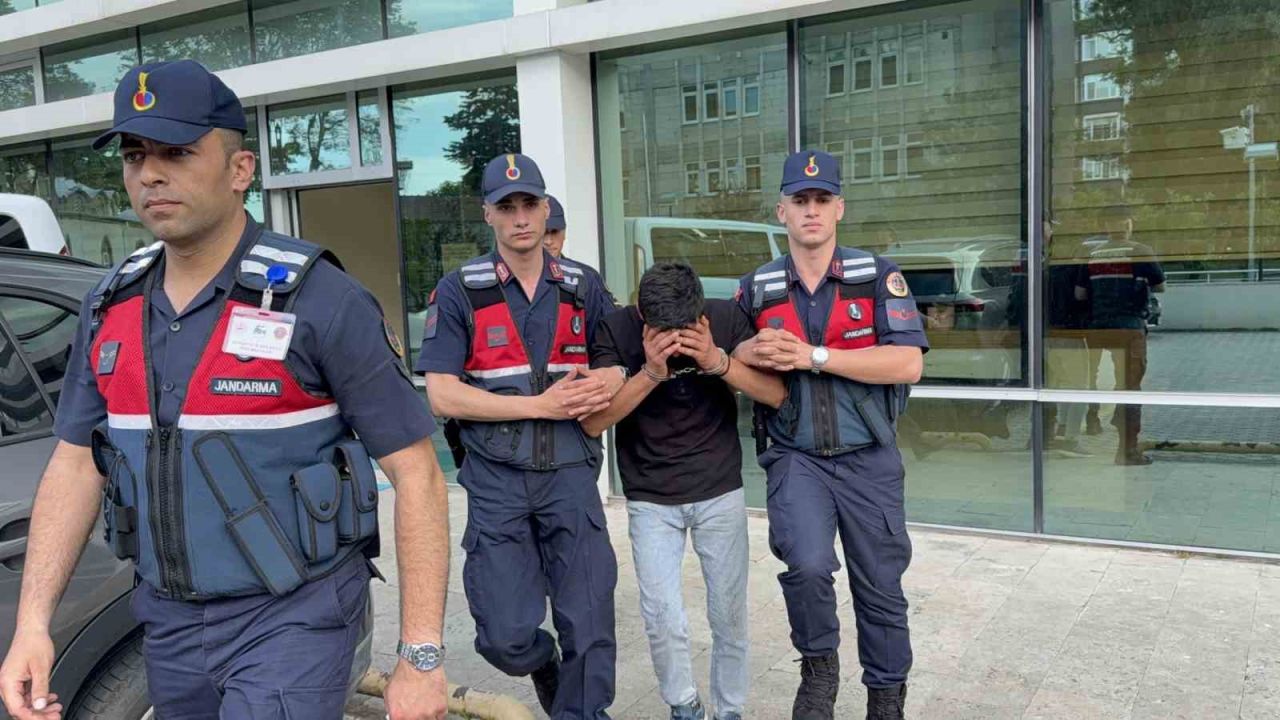 Televizyon hırsızlığı zanlısı, jandarma ekiplerince yakalandı