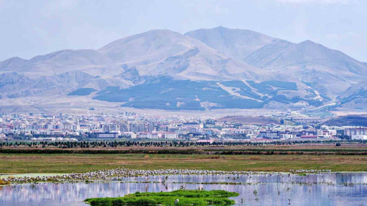 Amerika’nın Erzurum mesaisi: Yüzyıllık belge gün yüzüne çıktı