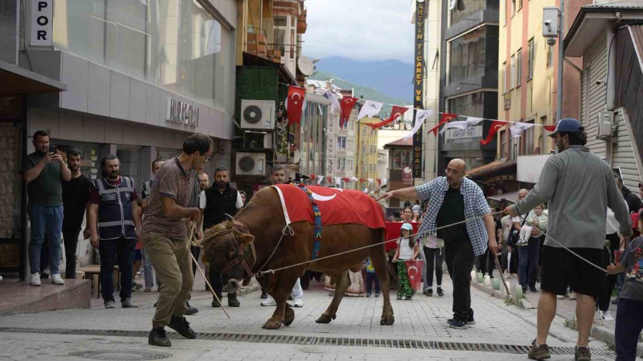 "Kafkasör Festivali" boğalı kortej yürüyüşüyle başladı