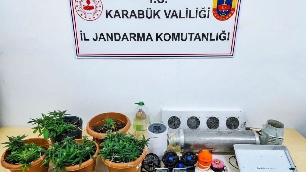 Karabük’te uyuşturucu operasyonu: Skunk serası ortaya çıkarıldı