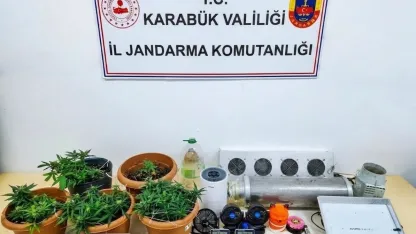 Karabük’te uyuşturucu operasyonu: Skunk serası ortaya çıkarıldı