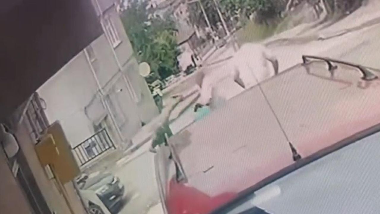 Kardeş katliamının zanlısı teslim oldu