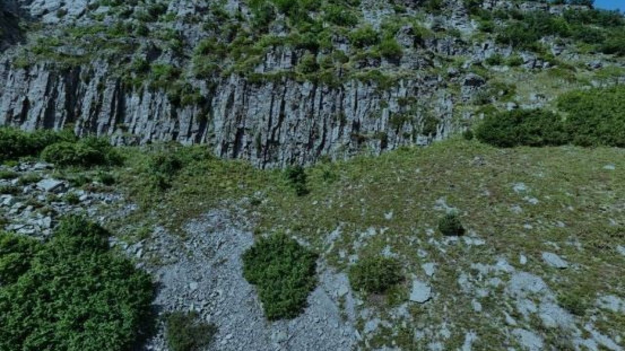 Kraliçe Tamara’nın gizemli mezarı için Posof iddiası gündemde
