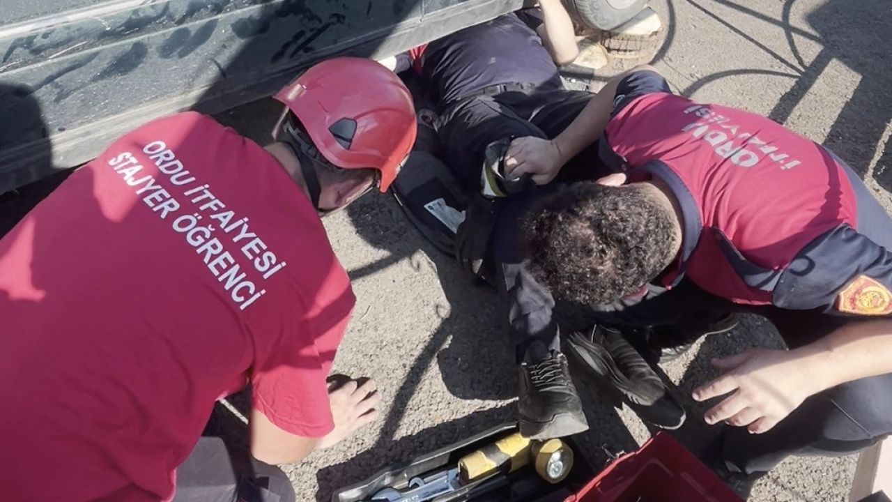 Ordu’da otomobilin egzoz muhafazasına sıkışan yavru kedi kurtarıldı