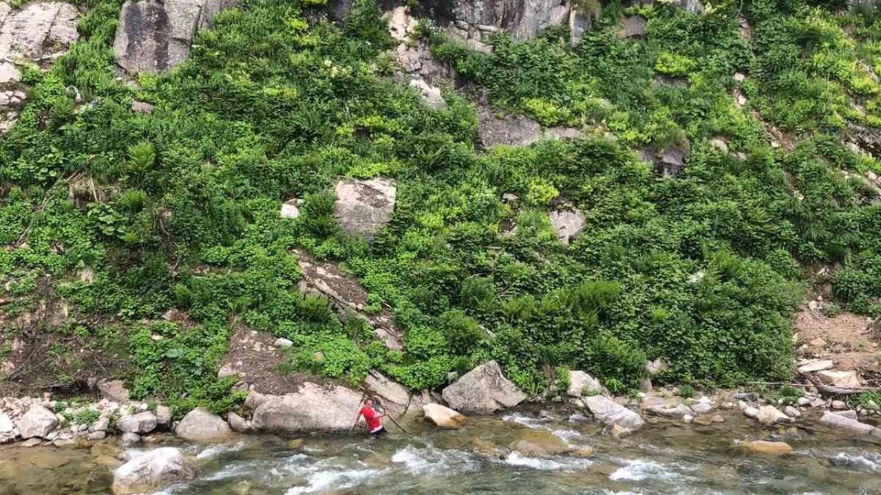 Papağanını kurtardı, kendisi mahsur kaldı