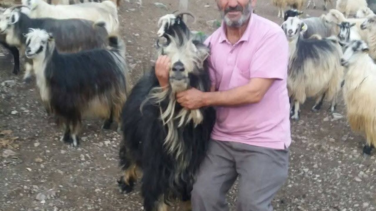 Şavşat Deresi’nde kaybolan babanın cansız bedenine ulaşıldı