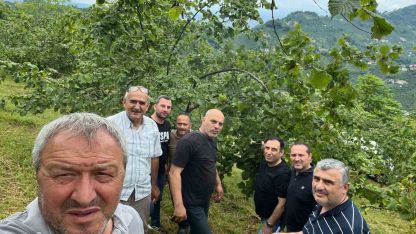 Trabzon’da fındıkta rekolte tespiti çalışmaları başladı