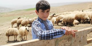 Habip Bitkin'in ilham verici başarı öyküsü!